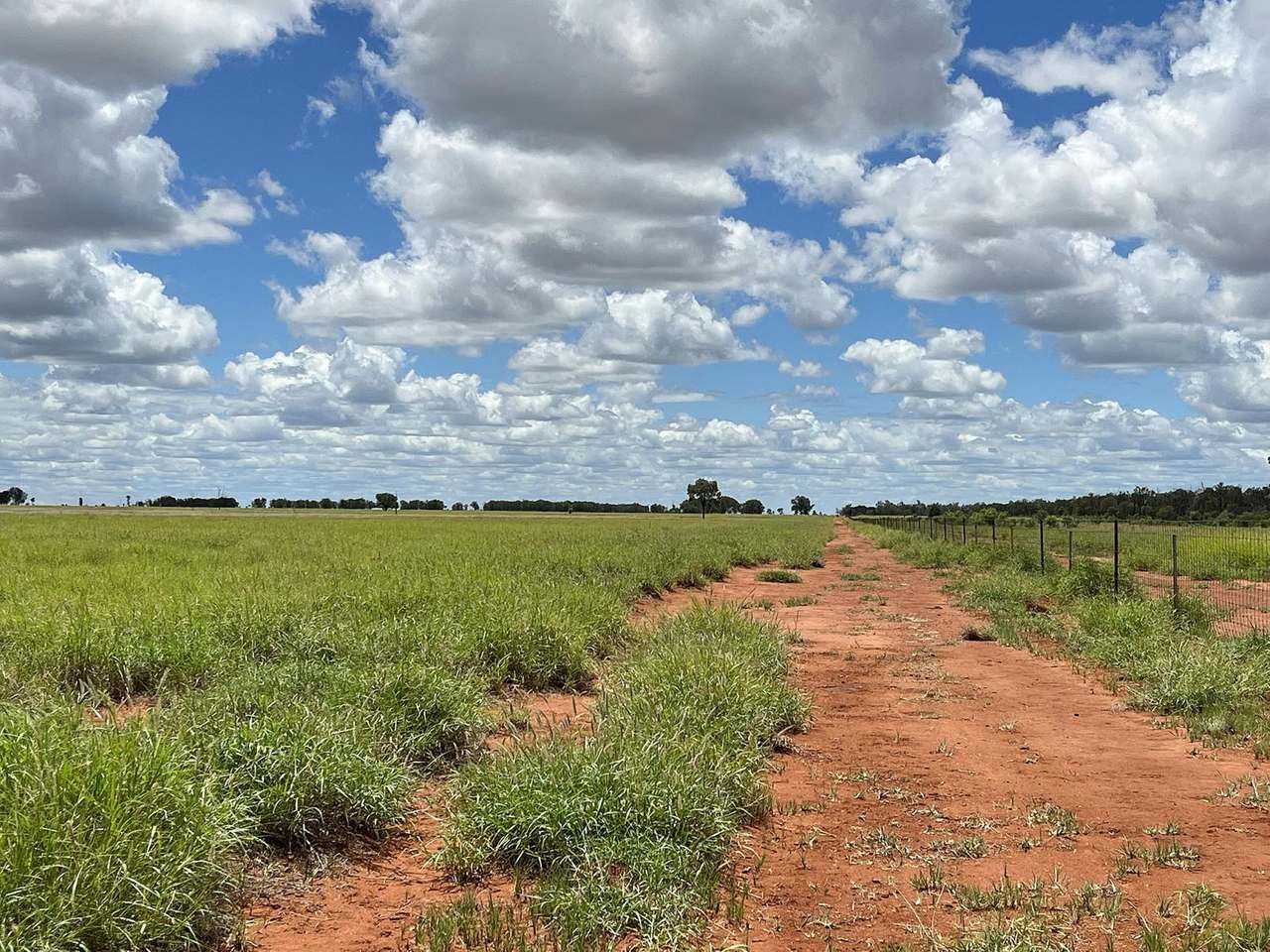 13724 Mitchell Saint George Rd, St George For Sale by Farmbuy.com - image 7