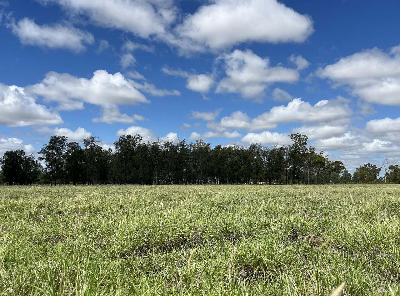 13724 Mitchell Saint George Rd, St George For Sale by Farmbuy.com - image 3