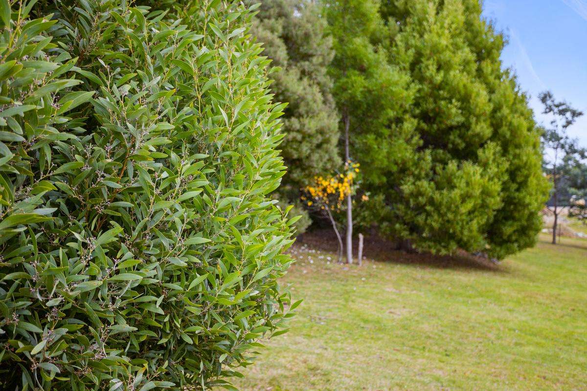 4530 Bruny Island Main Road, Lunawanna Sold by Farmbuy.com - image 5