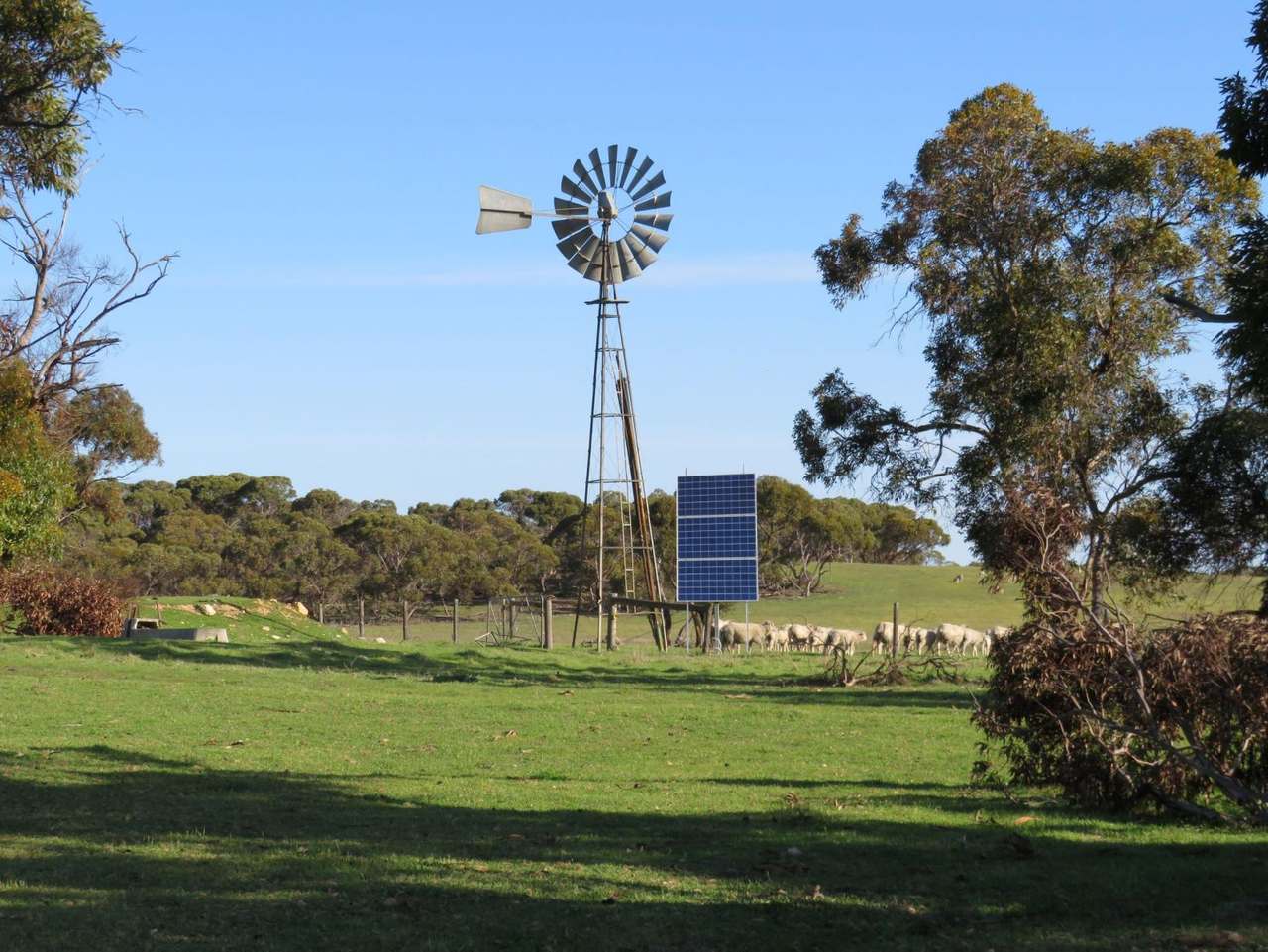 "Tamboore" 1467 Dark Island Well Road, Keith For Sale by Farmbuy.com - image 12
