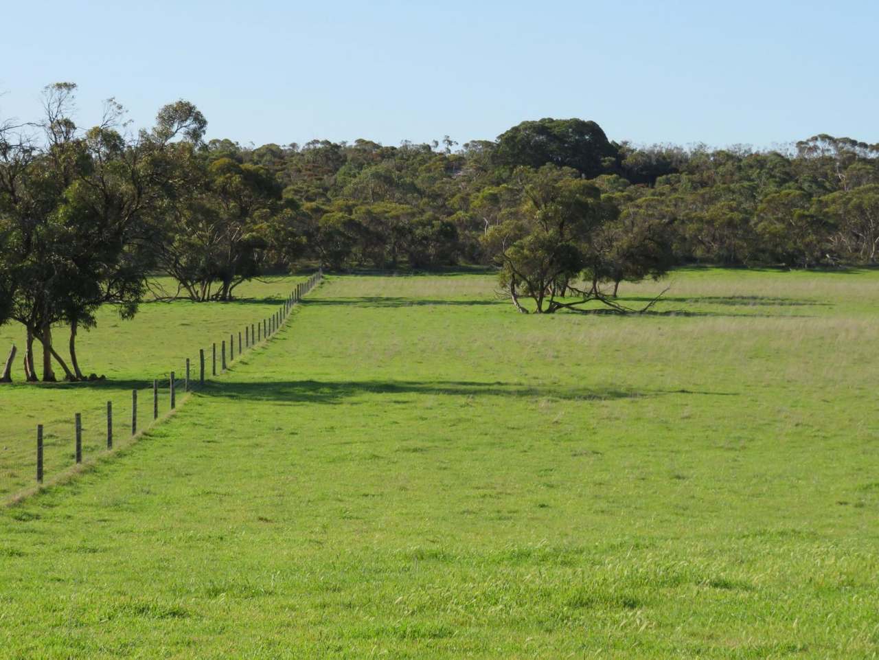 "Tamboore" 1467 Dark Island Well Road, Keith For Sale by Farmbuy.com - image 8
