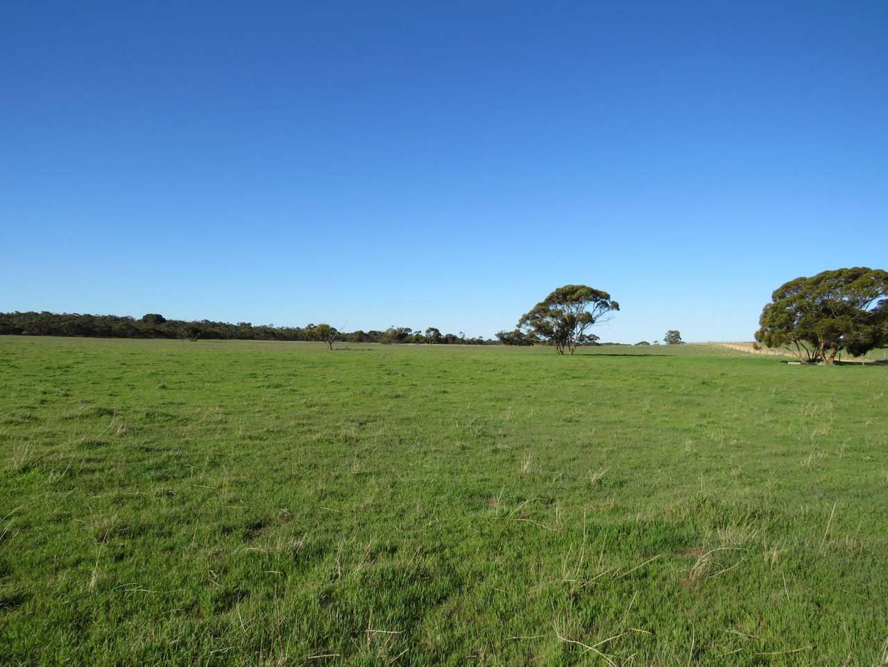 "Tamboore" 1467 Dark Island Well Road, Keith For Sale by Farmbuy.com - image 11