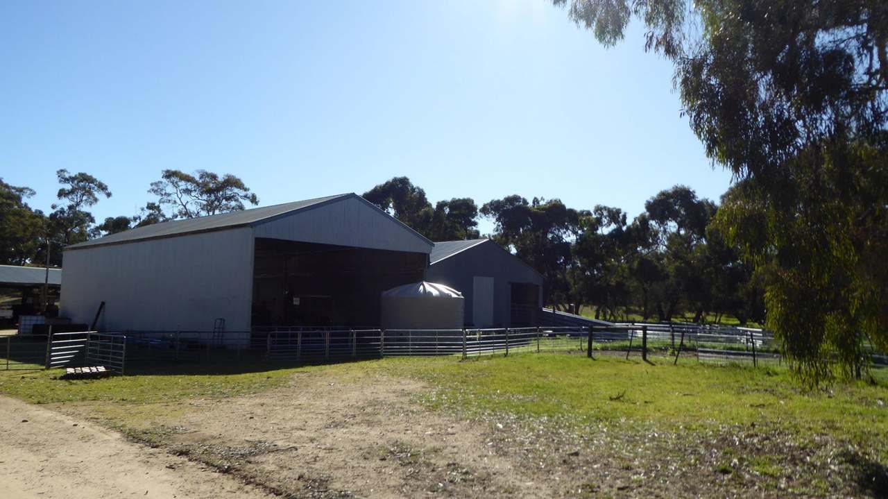 "Tamboore" 1467 Dark Island Well Road, Keith For Sale by Farmbuy.com - image 15