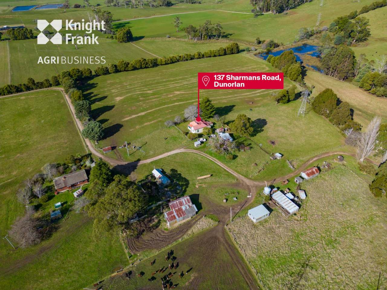 137 Sharmans Road, Dunorlan Sold by Farmbuy.com - image 29
