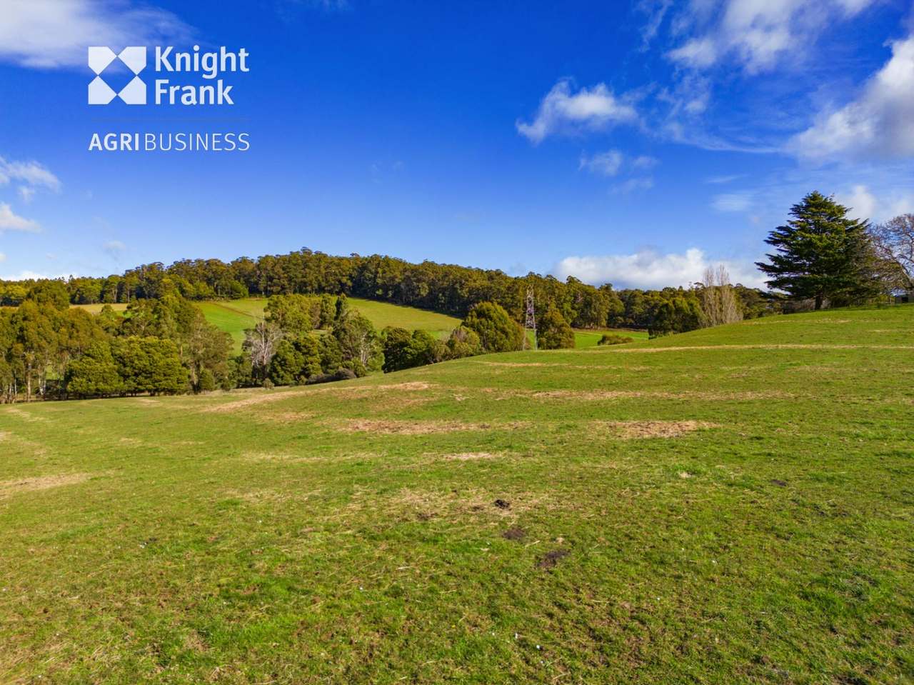 137 Sharmans Road, Dunorlan Sold by Farmbuy.com - image 20