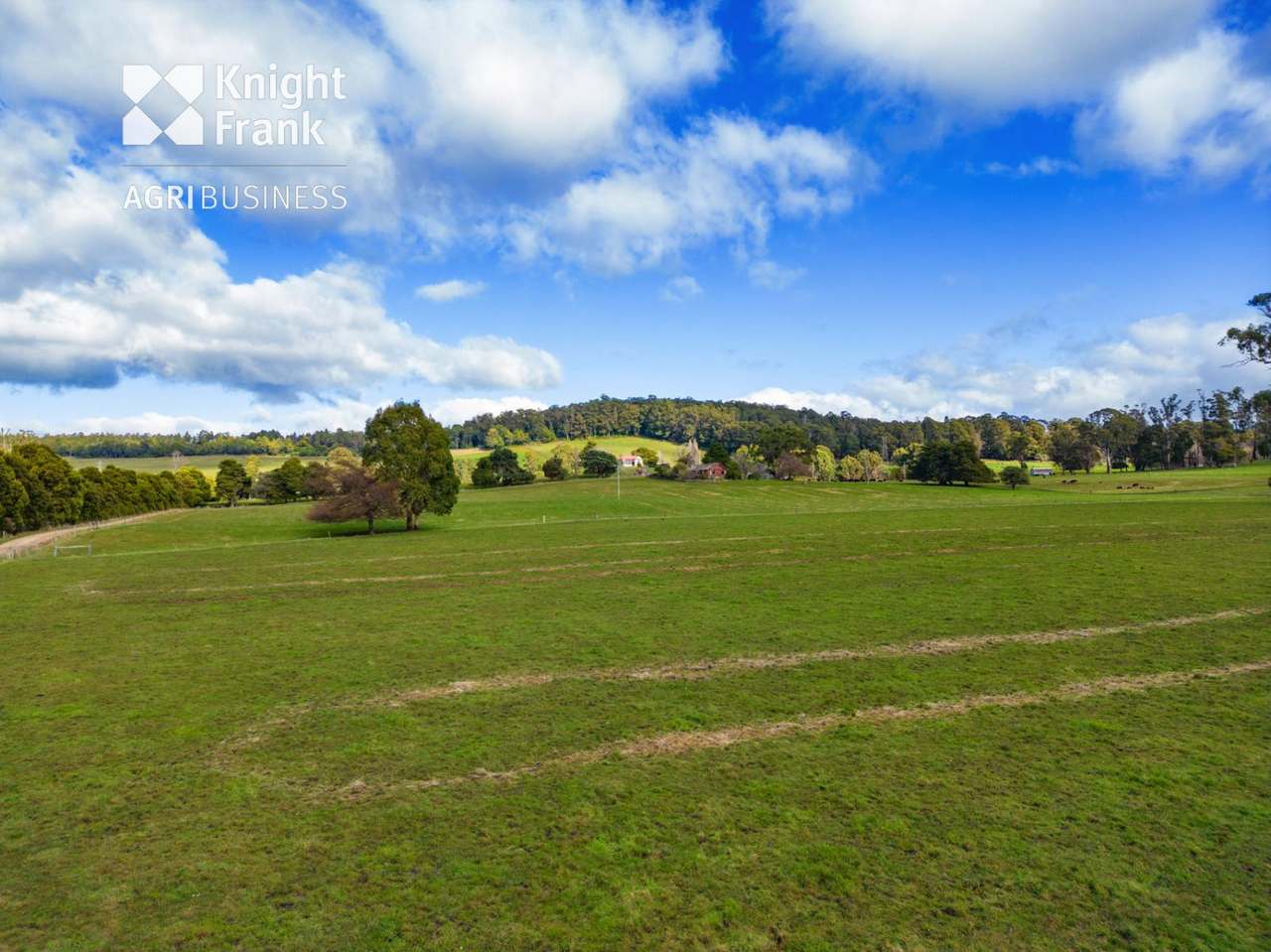 137 Sharmans Road, Dunorlan Sold by Farmbuy.com - image 4