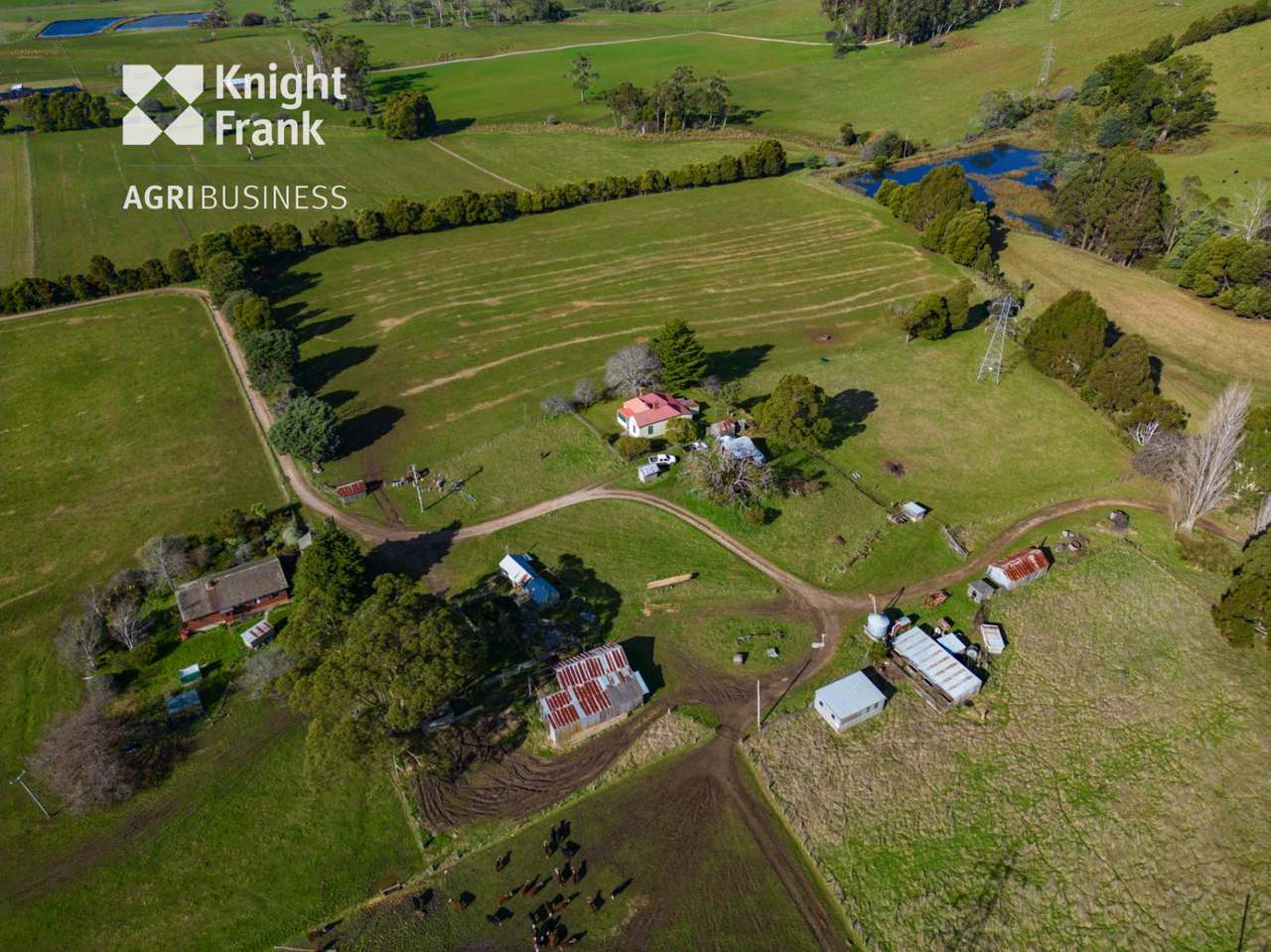 137 Sharmans Road, Dunorlan Sold by Farmbuy.com - image 24