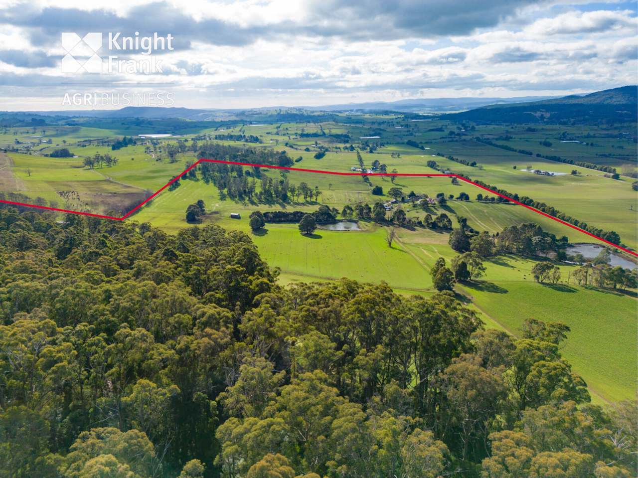 137 Sharmans Road, Dunorlan Sold by Farmbuy.com - image 10