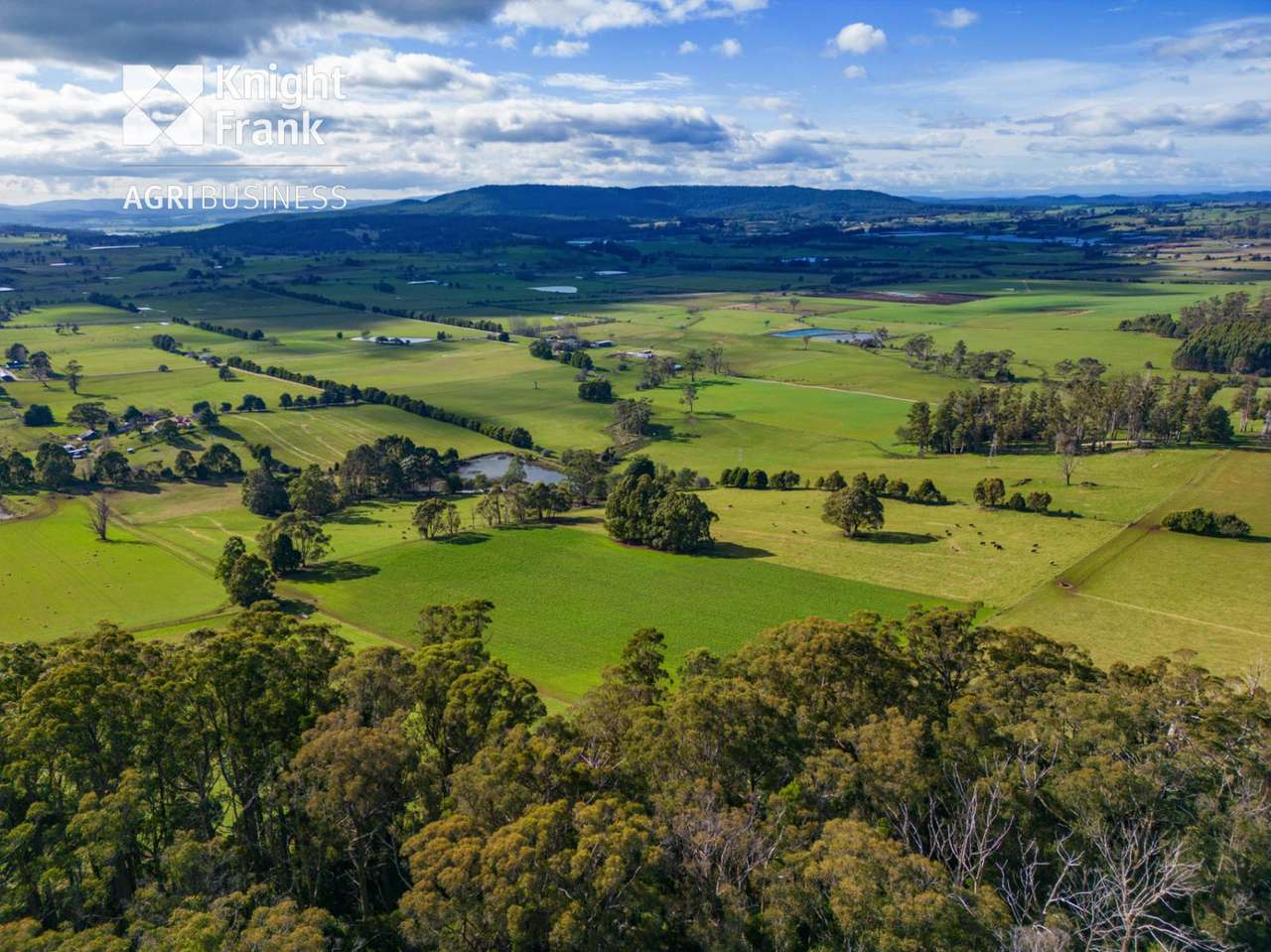 137 Sharmans Road, Dunorlan Sold by Farmbuy.com - image 11