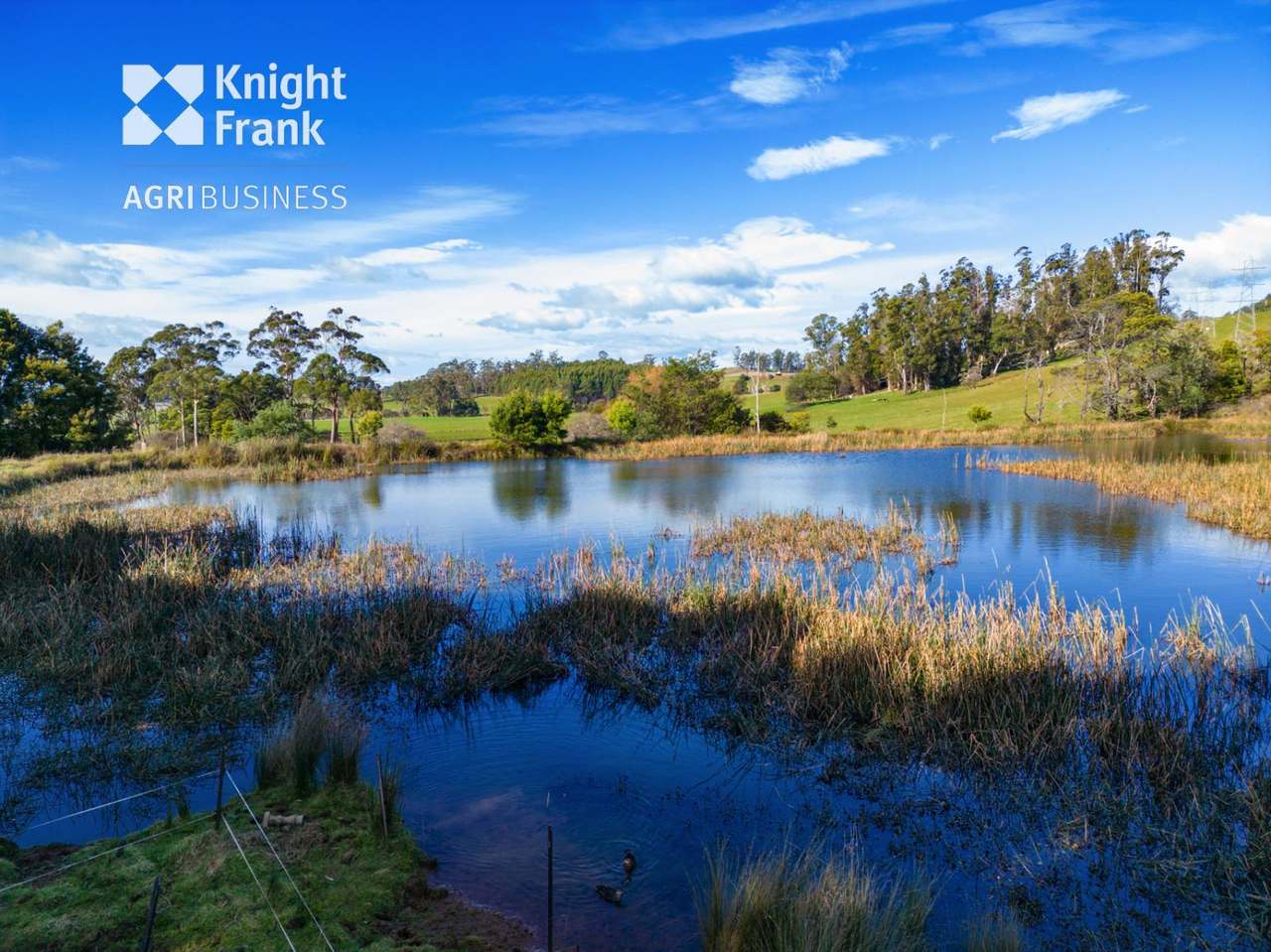 137 Sharmans Road, Dunorlan Sold by Farmbuy.com - image 12