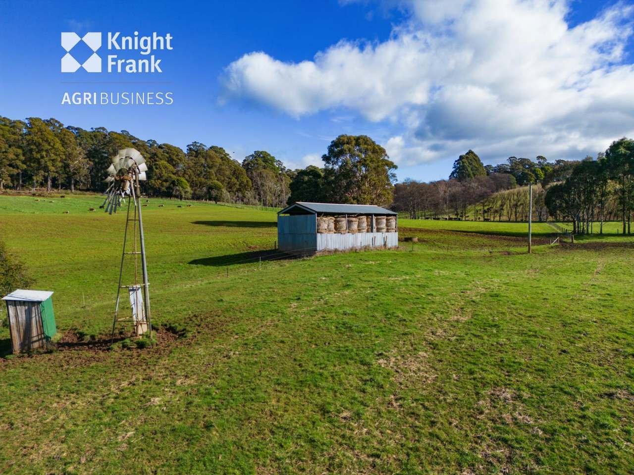 137 Sharmans Road, Dunorlan Sold by Farmbuy.com - image 14