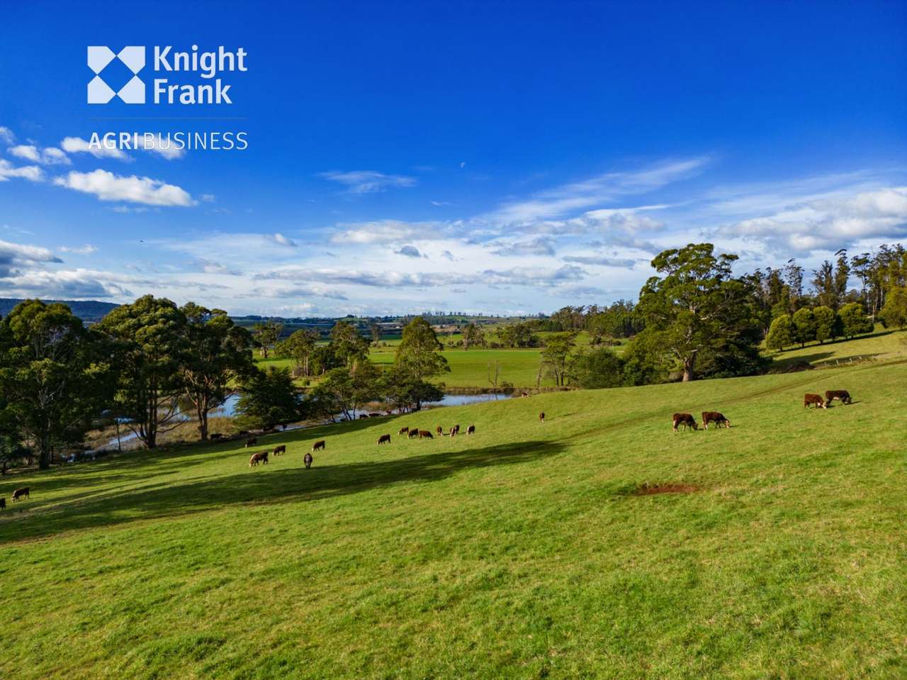 137 Sharmans Road, Dunorlan Sold by Farmbuy.com - image 8