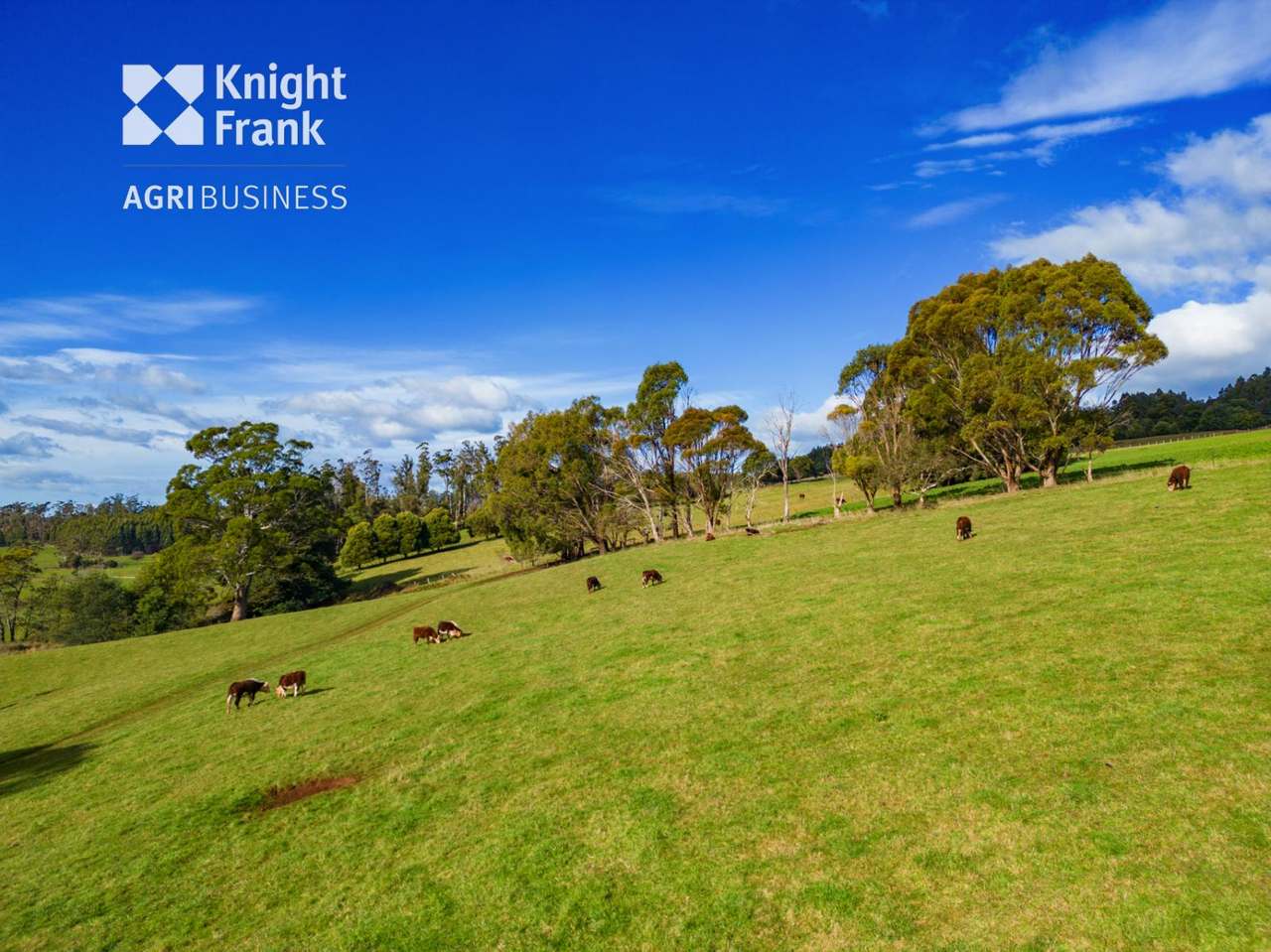 137 Sharmans Road, Dunorlan Sold by Farmbuy.com - image 7