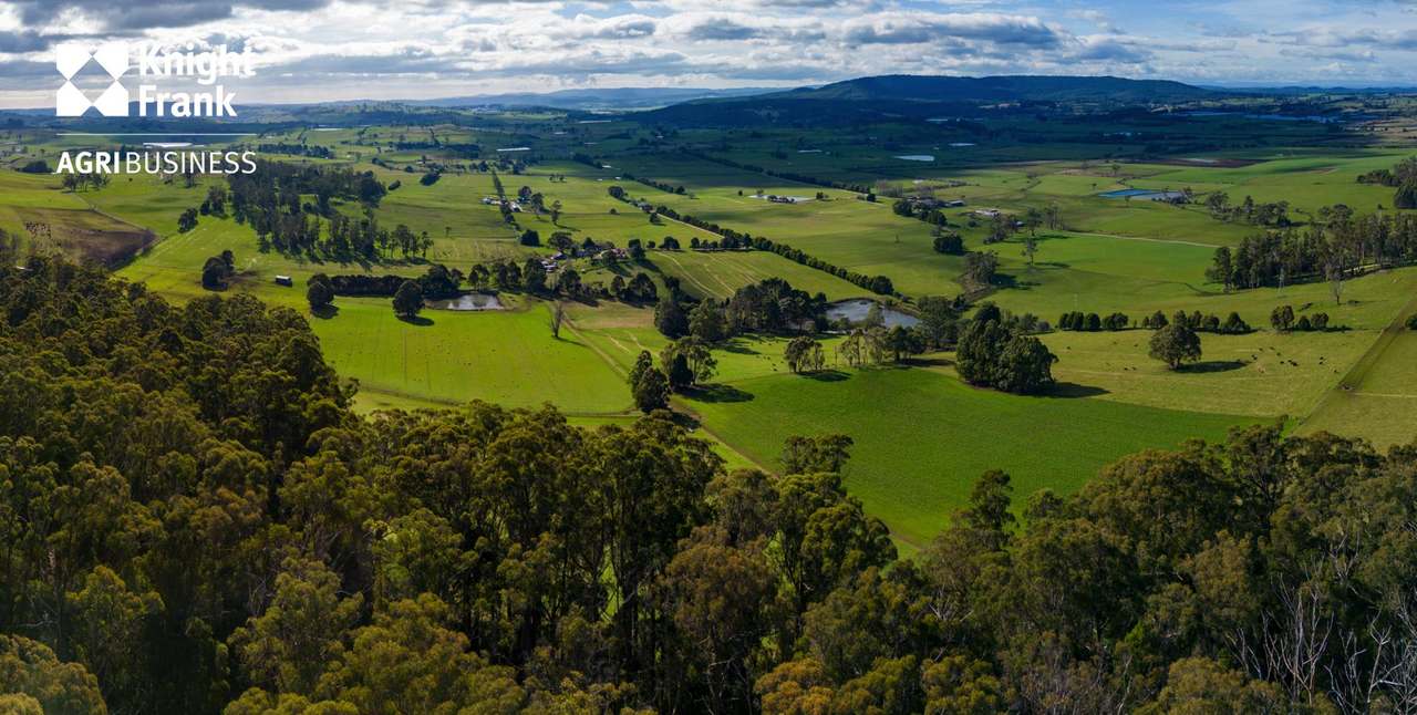 137 Sharmans Road, Dunorlan Sold by Farmbuy.com - image 9