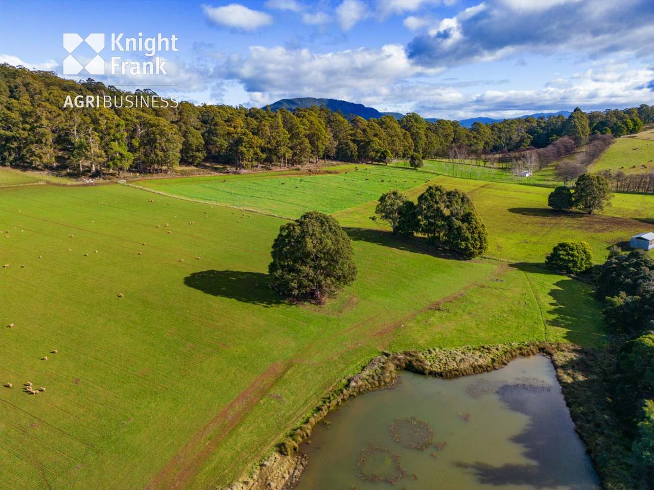 137 Sharmans Road, Dunorlan Sold by Farmbuy.com - image 5