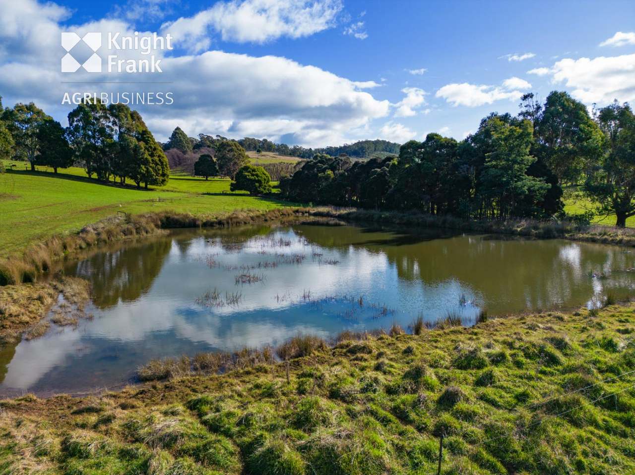 137 Sharmans Road, Dunorlan Sold by Farmbuy.com - image 13