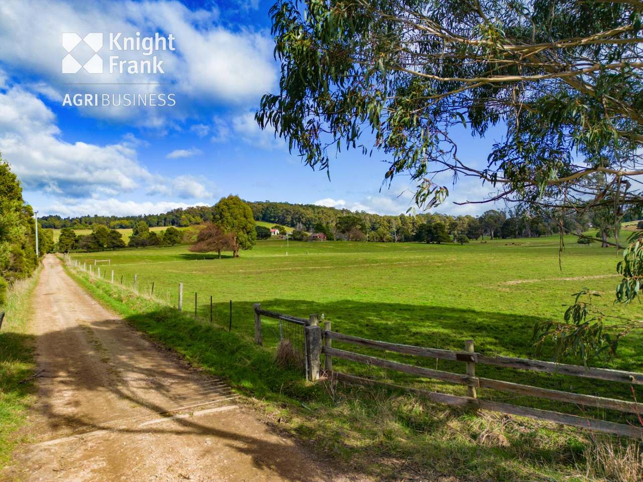137 Sharmans Road, Dunorlan Sold by Farmbuy.com - image 3