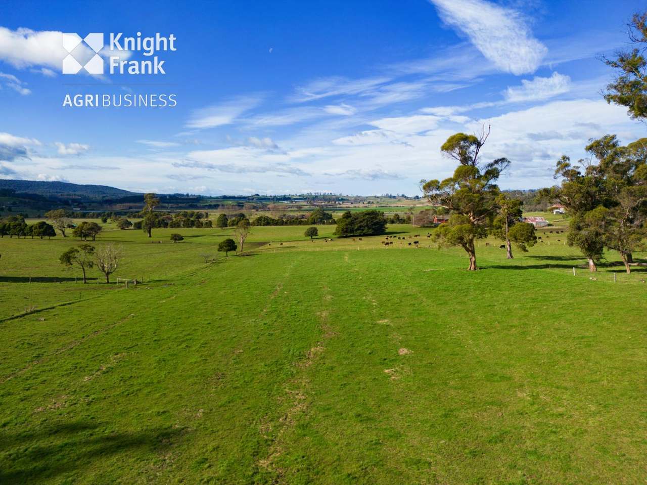 137 Sharmans Road, Dunorlan Sold by Farmbuy.com - image 21