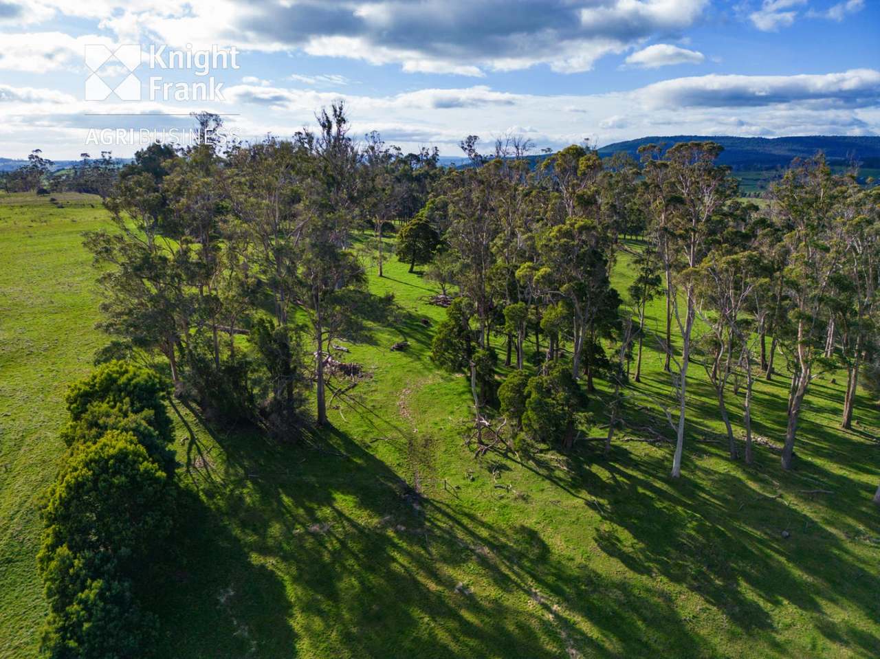 137 Sharmans Road, Dunorlan Sold by Farmbuy.com - image 23