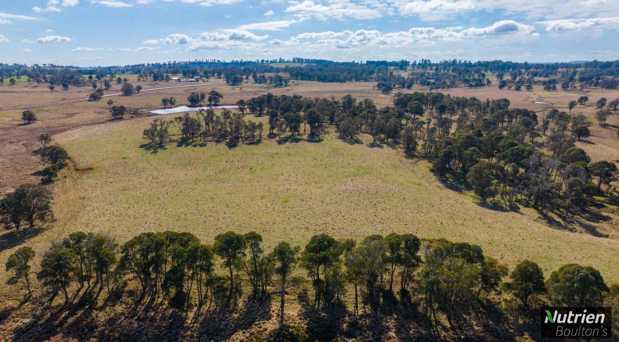 1195 Topdale Road, Niangala For Sale by Farmbuy.com - image 5