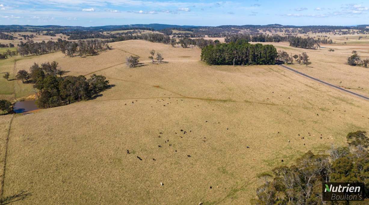 1195 Topdale Road, Niangala For Sale by Farmbuy.com - image 8
