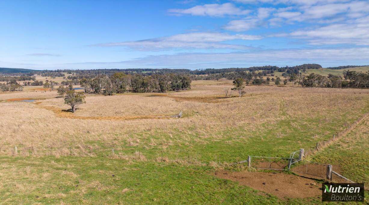 1195 Topdale Road, Niangala For Sale by Farmbuy.com - image 7