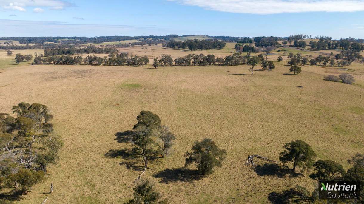 1195 Topdale Road, Niangala For Sale by Farmbuy.com - image 4