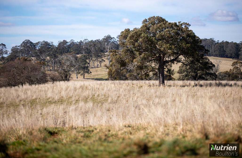 1195 Topdale Road, Niangala For Sale by Farmbuy.com - image 14