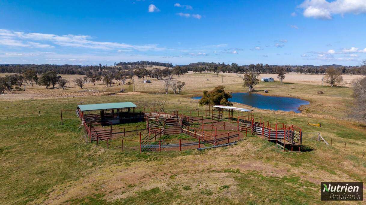 1195 Topdale Road, Niangala For Sale by Farmbuy.com - image 16