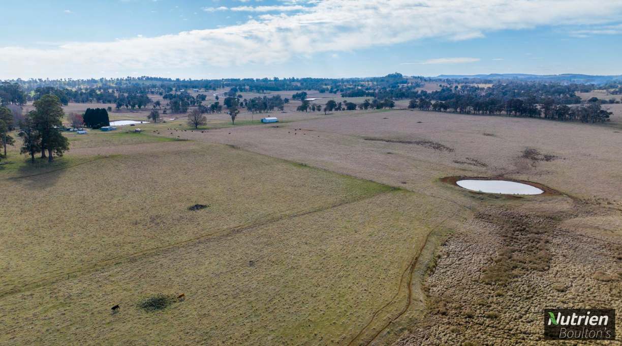 1195 Topdale Road, Niangala For Sale by Farmbuy.com - image 13