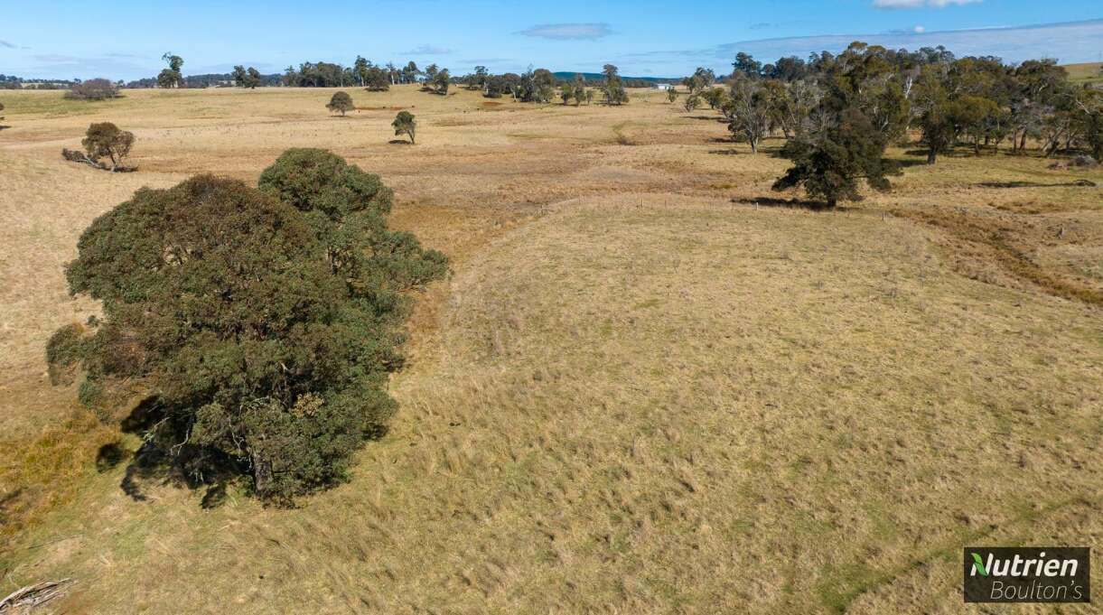 1195 Topdale Road, Niangala For Sale by Farmbuy.com - image 9