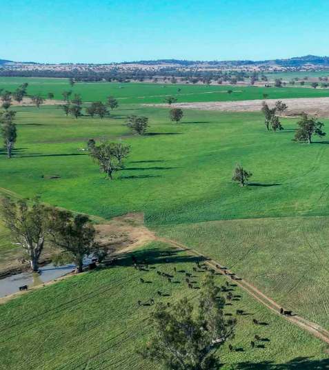 1 Grant Street, Somerton For Sale by Farmbuy.com - image 6
