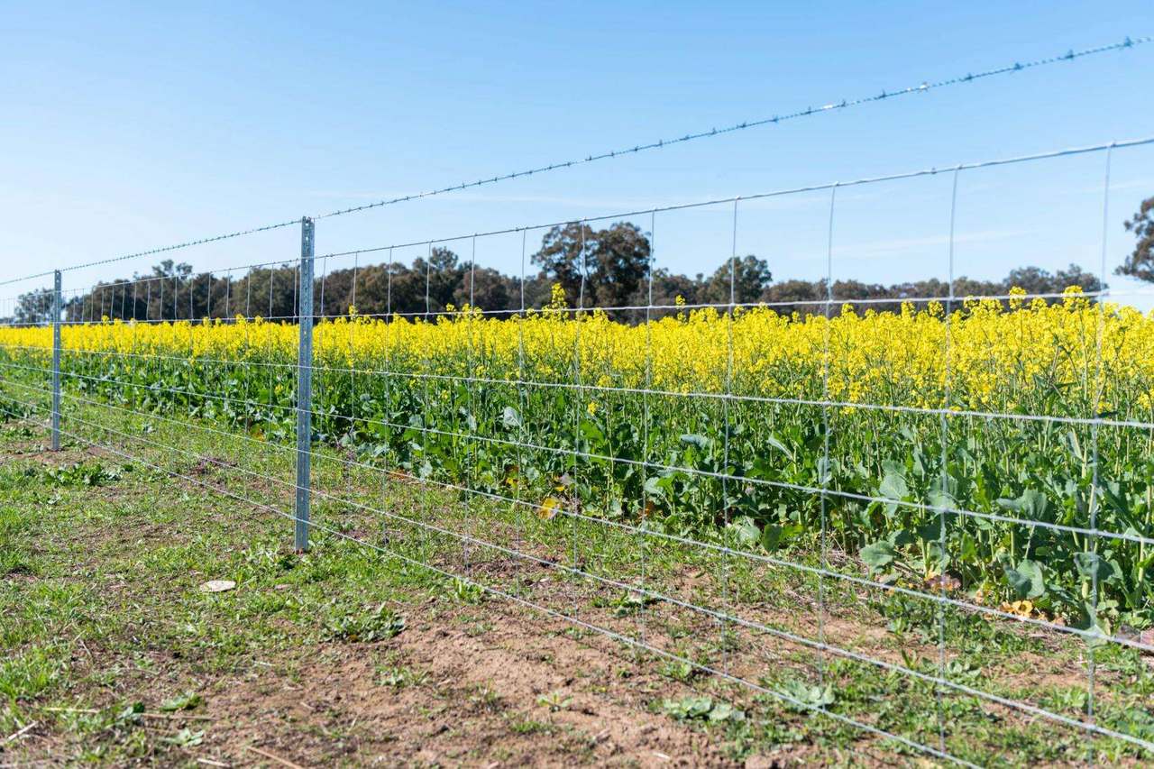 131 Lagoon Road West, Forbes Sold by Farmbuy.com - image 5