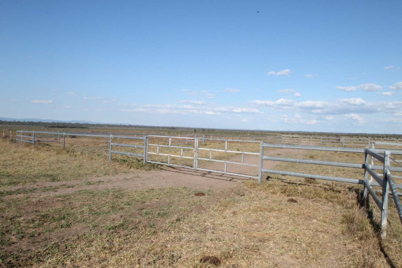 4510 Valkryie Road , Valkyrie Sold by Farmbuy.com - image 29