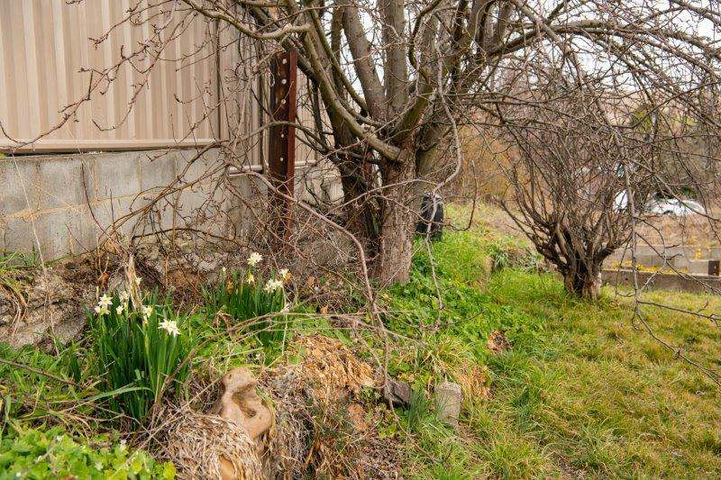 3 Albert Street, Cooma Sold by Farmbuy.com - image 12