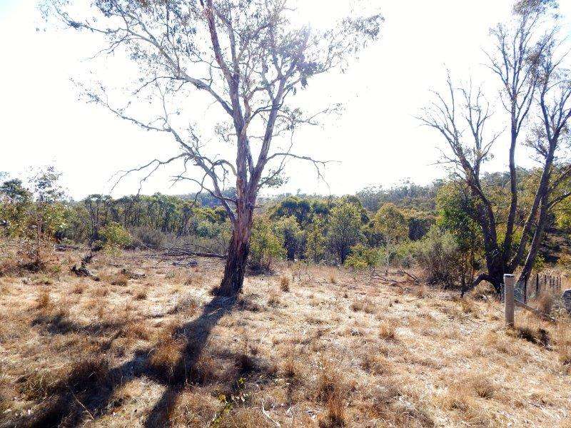 Lot 2 Tredegar Road, Bombala Sold by Farmbuy.com - image 3