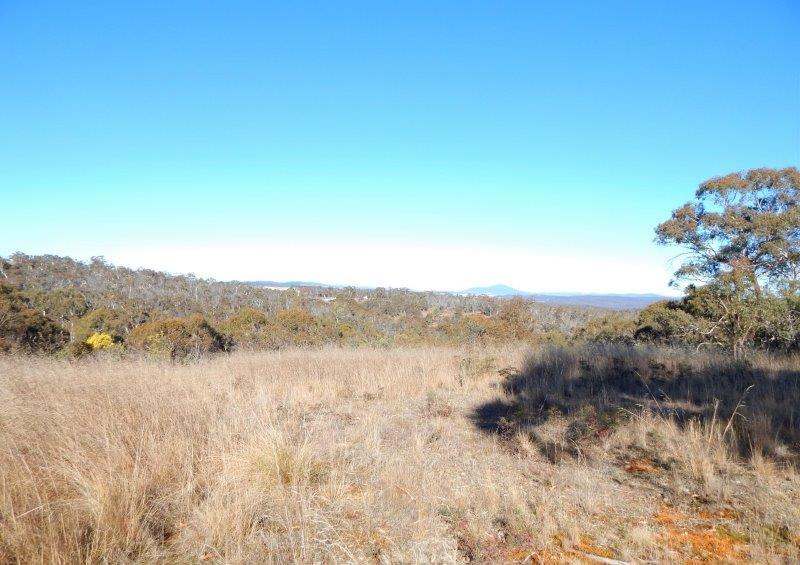 Lot 2 Tredegar Road, Bombala Sold by Farmbuy.com - image 6