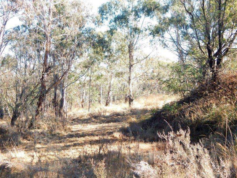 Lot 2 Tredegar Road, Bombala Sold by Farmbuy.com - image 9