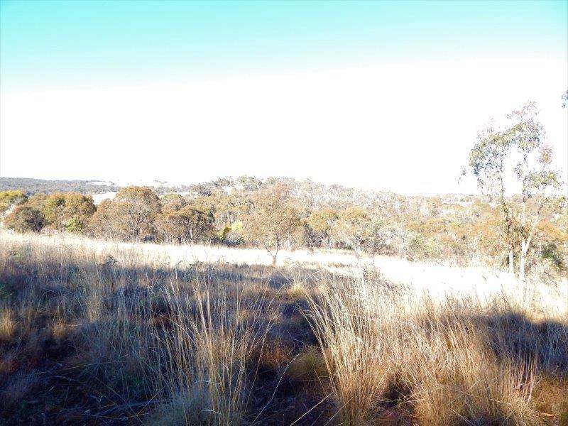 Lot 2 Tredegar Road, Bombala Sold by Farmbuy.com - image 7