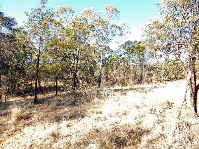 Lot 2 Tredegar Road, Bombala Sold by Farmbuy.com - image 2