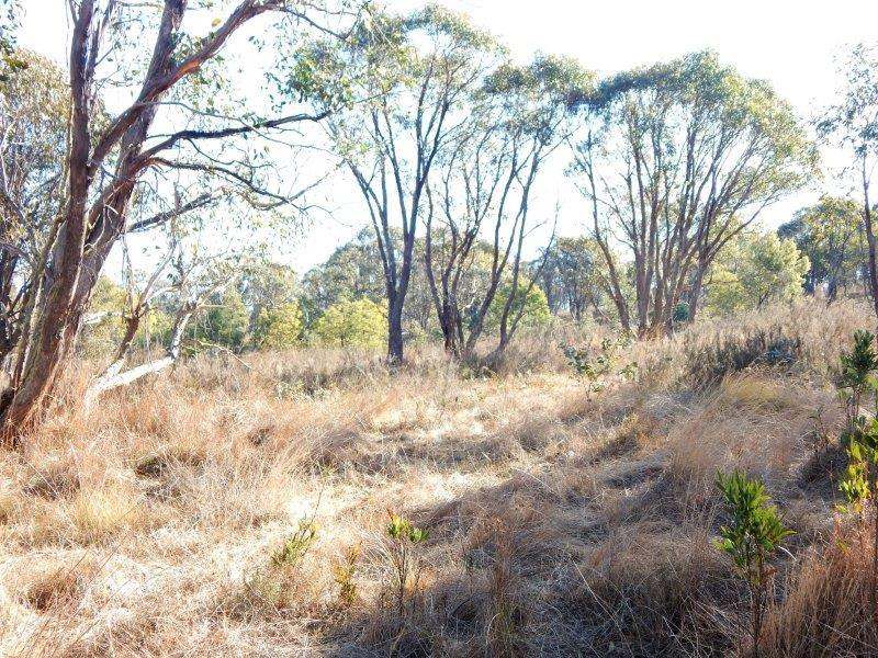 Lot 2 Tredegar Road, Bombala Sold by Farmbuy.com - image 11