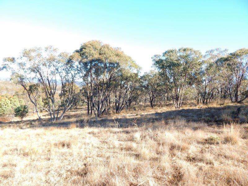 Lot 2 Tredegar Road, Bombala Sold by Farmbuy.com - image 8