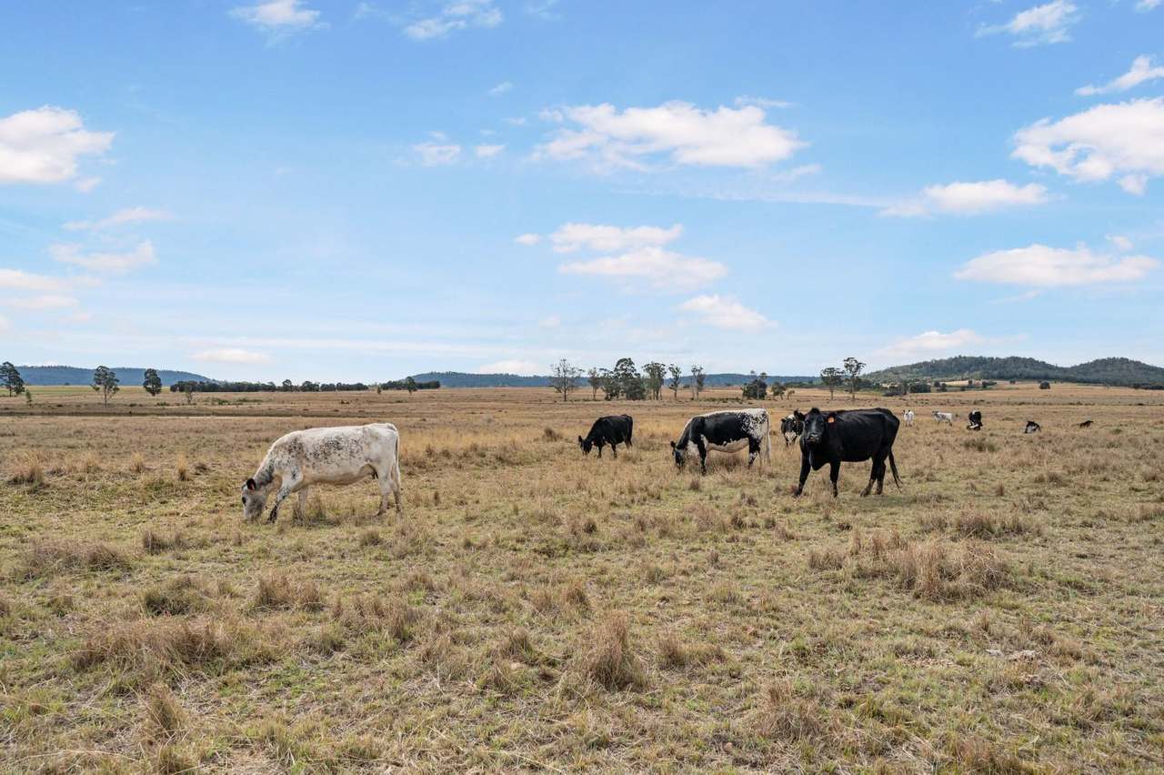 639 Heckendorf Rd, Millmerran Sold by Farmbuy.com - image 20