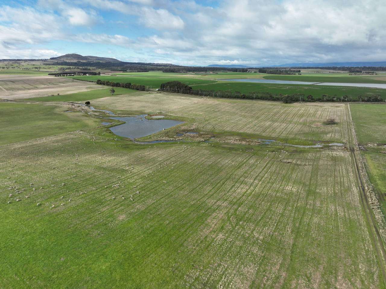Powranna Road, Powranna Sold by Farmbuy.com - image 9