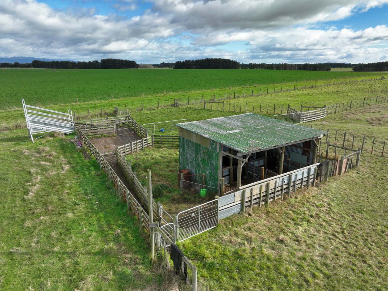 Powranna Road, Powranna Sold by Farmbuy.com - image 3