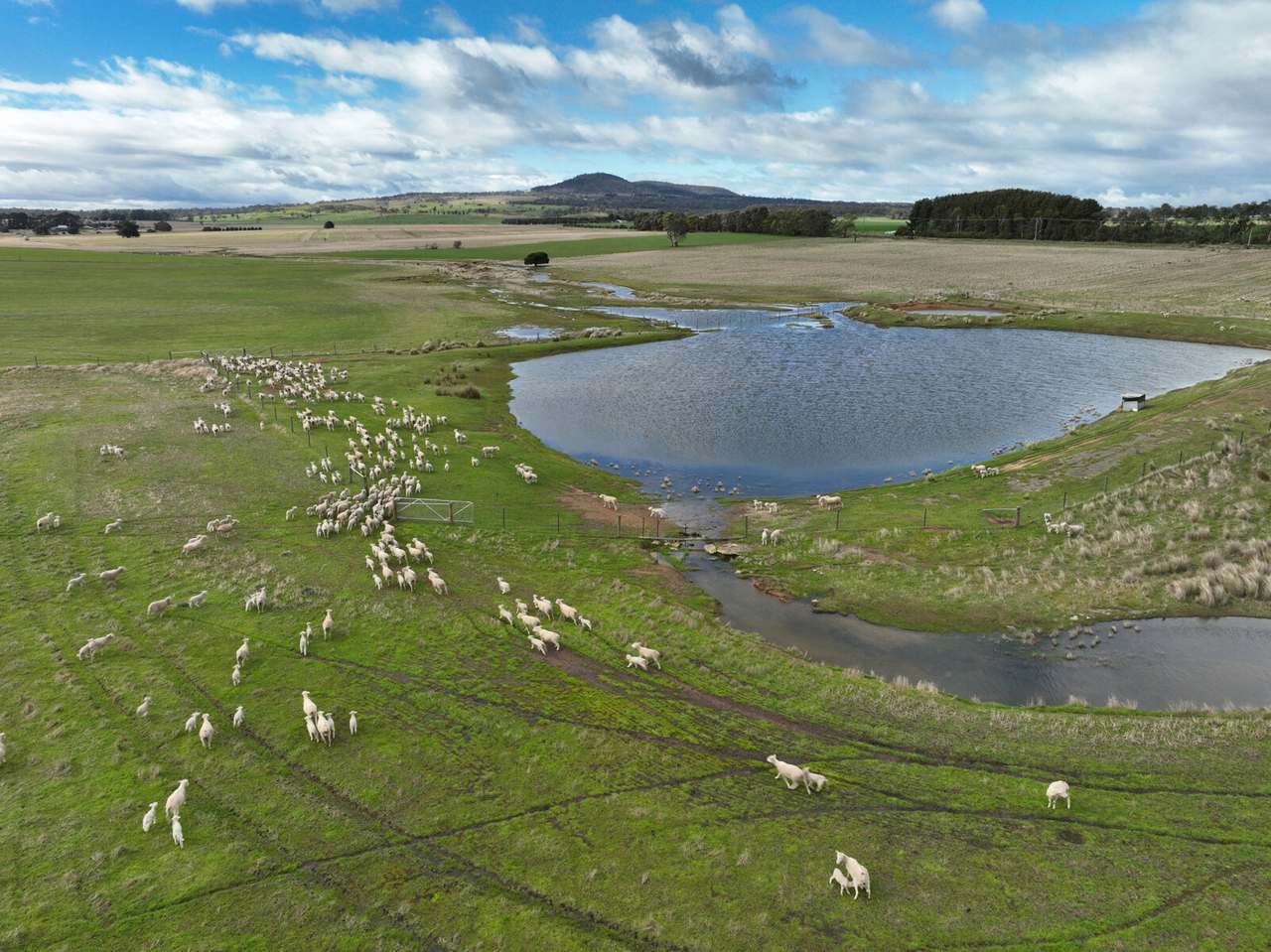 Powranna Road, Powranna Sold by Farmbuy.com - image 4