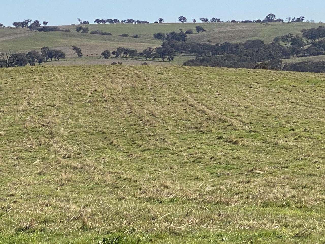 380 Bidgeeribbin Road, Bathurst For Sale by Farmbuy.com - image 29