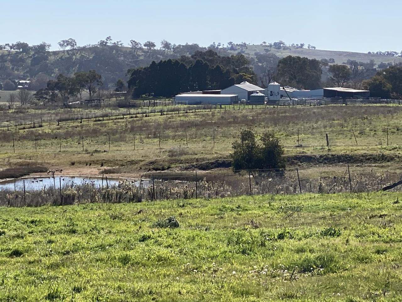 380 Bidgeeribbin Road, Bathurst For Sale by Farmbuy.com - image 39