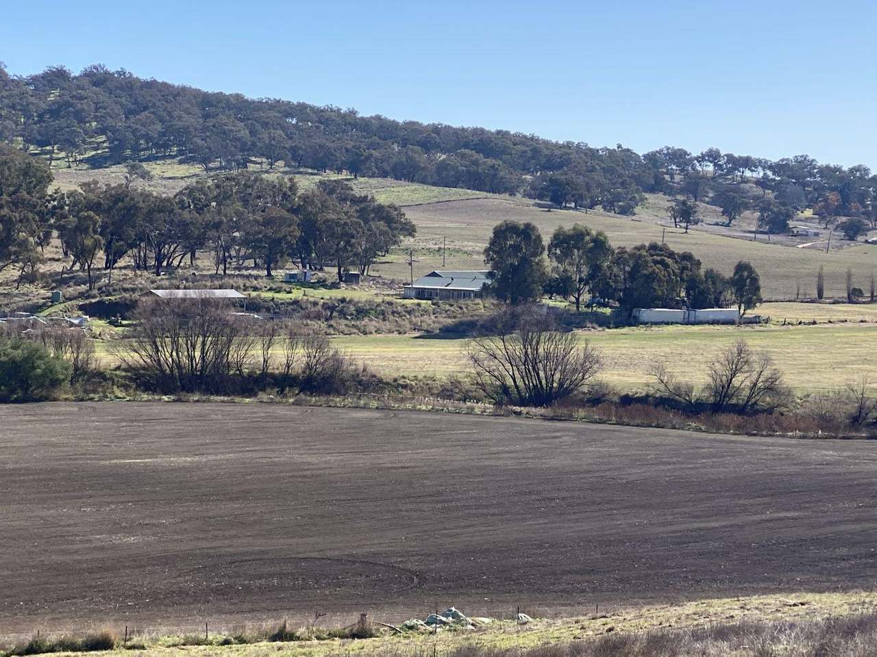 380 Bidgeeribbin Road, Bathurst For Sale by Farmbuy.com - image 33