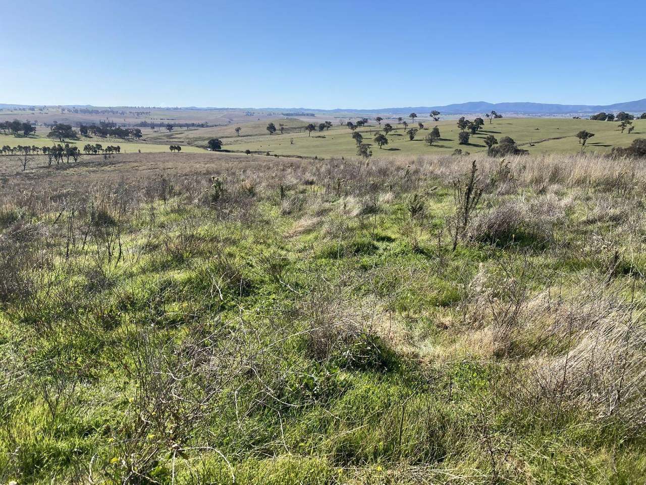380 Bidgeeribbin Road, Bathurst For Sale by Farmbuy.com - image 32